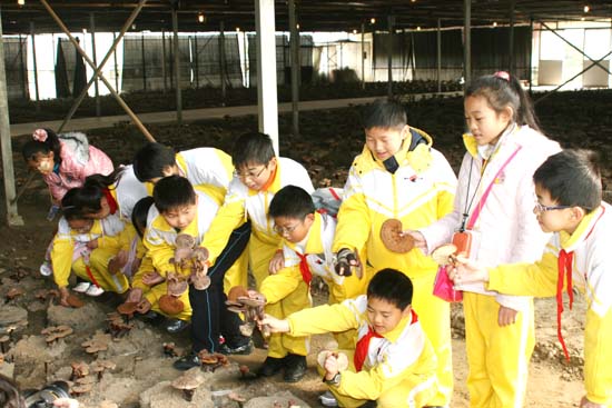 圖片關鍵詞 圖片關鍵詞