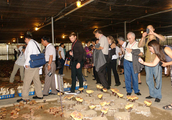 圖片關(guān)鍵詞 圖片關(guān)鍵詞