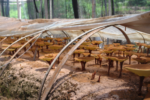 圖片關鍵詞 圖片關鍵詞