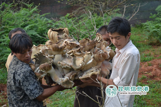 圖片關鍵詞 圖片關鍵詞