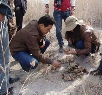 圖片關(guān)鍵詞 圖片關(guān)鍵詞