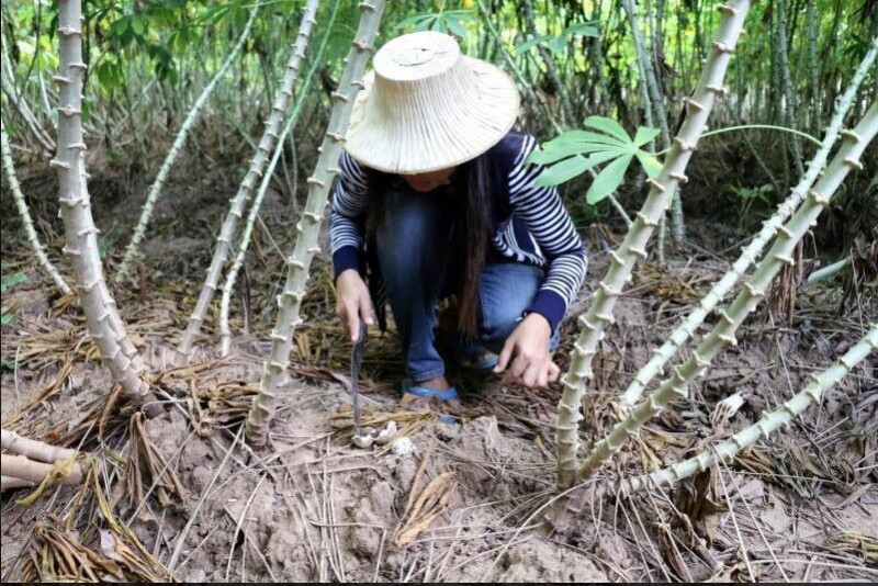 圖片關鍵詞 圖片關鍵詞