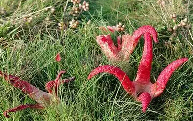 圖片關鍵詞 圖片關鍵詞