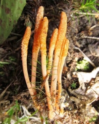 圖片關鍵詞 圖片關鍵詞