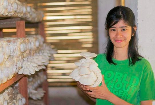 圖片關(guān)鍵詞 圖片關(guān)鍵詞