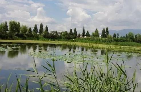 圖片關(guān)鍵詞 圖片關(guān)鍵詞