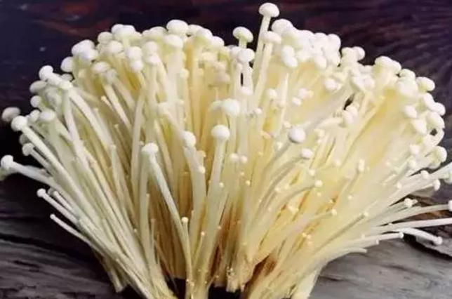 圖片關鍵詞 圖片關鍵詞