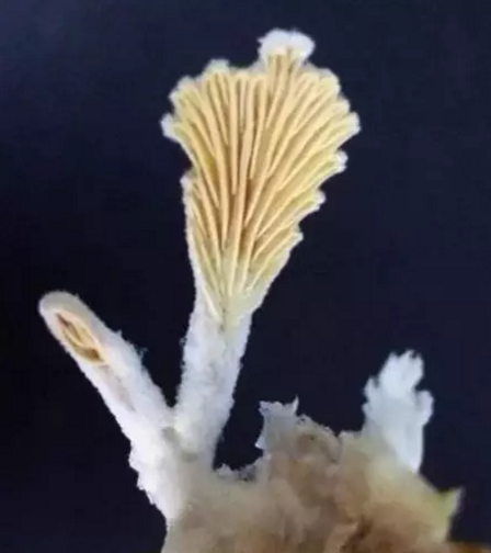 圖片關(guān)鍵詞 圖片關(guān)鍵詞