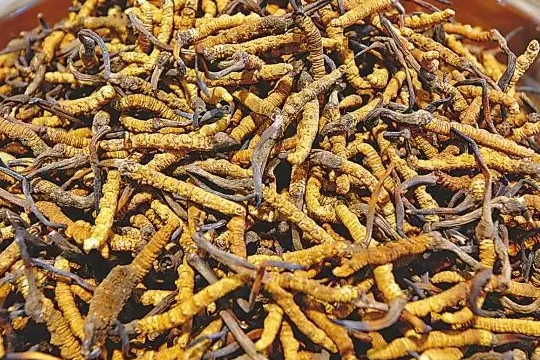 圖片關(guān)鍵詞 圖片關(guān)鍵詞