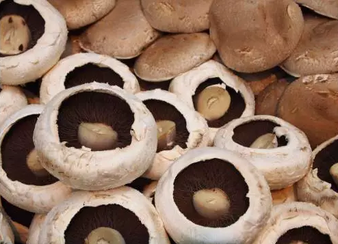 圖片關鍵詞 http://www.haobaoku.com/ewebeditor/uploadfile/20170914091257506001.png