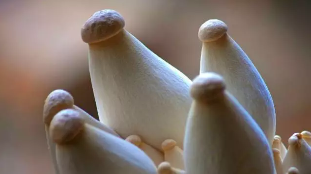 圖片關鍵詞 http://www.haobaoku.com/ewebeditor/uploadfile/20170914091357269001.png