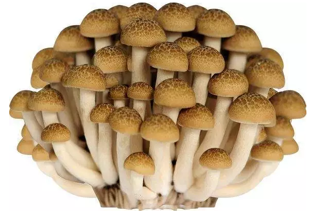 圖片關鍵詞 http://www.haobaoku.com/ewebeditor/uploadfile/20170914091421667001.png