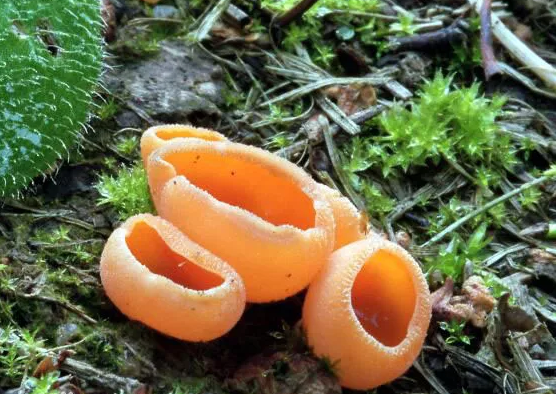 圖片關鍵詞 圖片關鍵詞