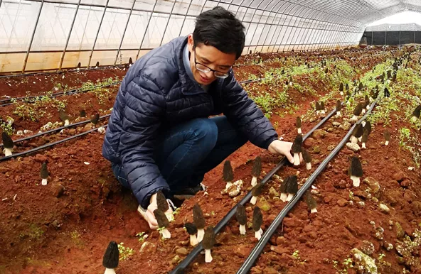 圖片關鍵詞 圖片關鍵詞