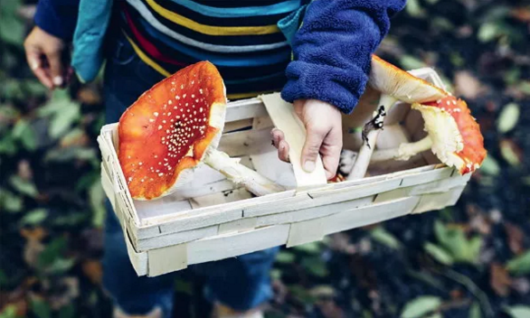 圖片關(guān)鍵詞 圖片關(guān)鍵詞