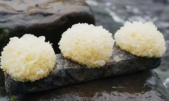 圖片關鍵詞 http://www.haobaoku.com/ewebeditor/uploadfile/20180328092751720001.png