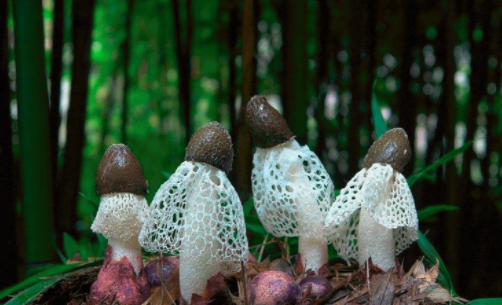 圖片關(guān)鍵詞 http://www.haobaoku.com/ewebeditor/uploadfile/20180828110329835001.png