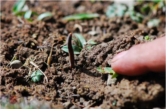 圖片關(guān)鍵詞 http://www.haobaoku.com/ewebeditor/uploadfile/20180921101313325001.png