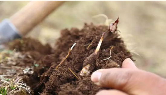 圖片關(guān)鍵詞 http://www.haobaoku.com/ewebeditor/uploadfile/20180921101228689001.png