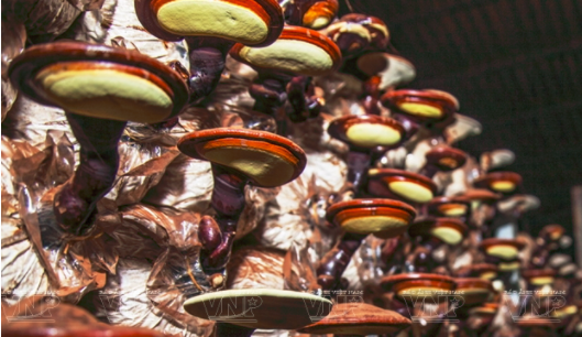 圖片關鍵詞 圖片關鍵詞