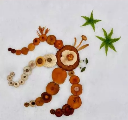 圖片關鍵詞 圖片關鍵詞