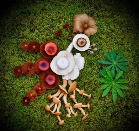 圖片關鍵詞 圖片關鍵詞