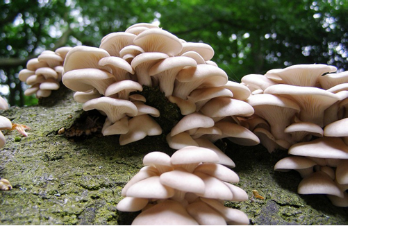 圖片關鍵詞 圖片關鍵詞