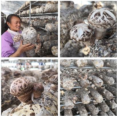 圖片關鍵詞 圖片關鍵詞