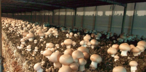 圖片關鍵詞 圖片關鍵詞