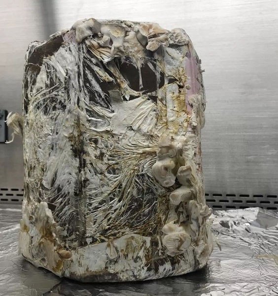 圖片關鍵詞 2.jpg