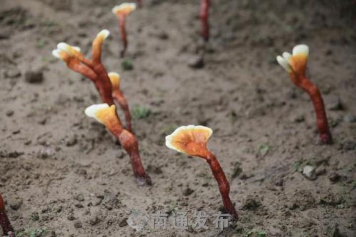 圖片關鍵詞 圖片關鍵詞