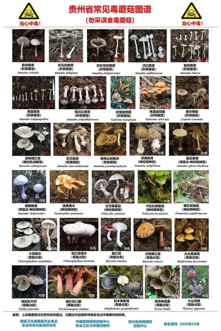 圖片關(guān)鍵詞 https://mmbiz.qpic.cn/mmbiz_jpg/OnRbAd1HL447AVvicLf3JHEJun5lHxh0y5NRmM8mLNuhUCicH1OhlibyC6Jc4RltXr2zAovBJxNkznmp2ibv3kRthQ/640?wx_fmt=jpeg