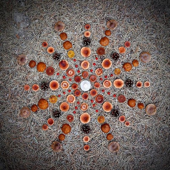 圖片關鍵詞 http://img1.jiemian.com/jiemian/original/20171123/15114150641839200_a580xH.jpg