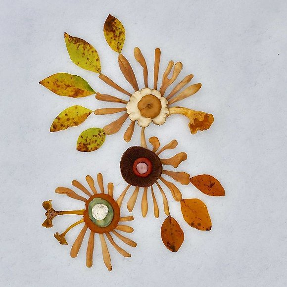 圖片關鍵詞 http://img2.jiemian.com/jiemian/original/20171123/151141498671387900_a580xH.jpg