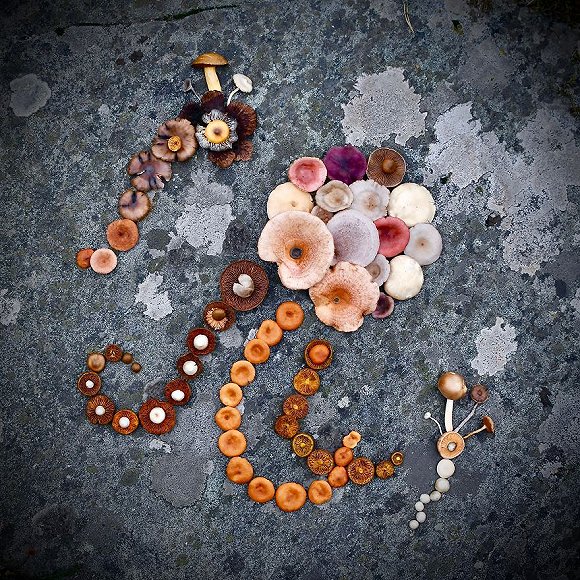 圖片關鍵詞 http://img3.jiemian.com/jiemian/original/20171123/151141528193117600_a580xH.jpg