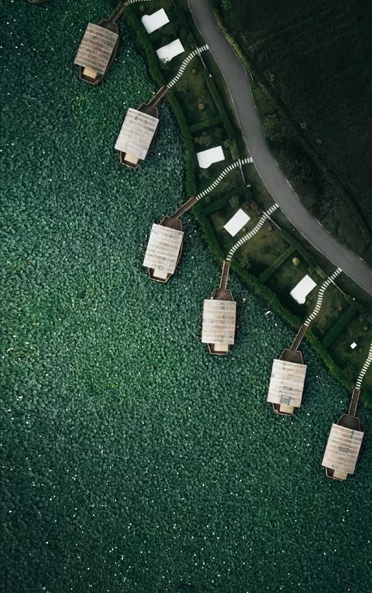 國家蘑菇地理：中國哪里的蘑菇最好吃？