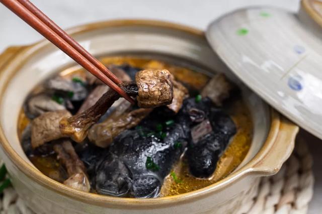 國家蘑菇地理：中國哪里的蘑菇最好吃？