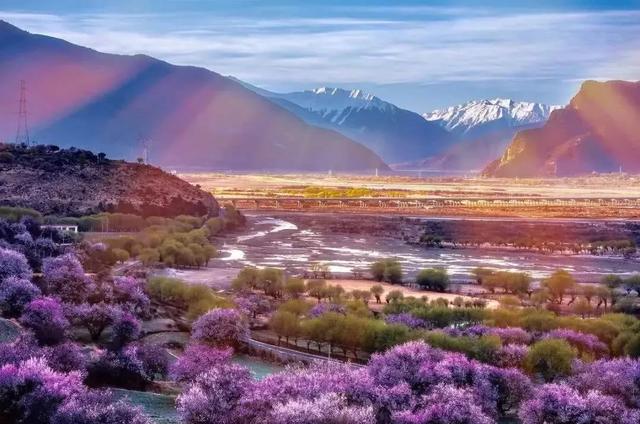 國家蘑菇地理：中國哪里的蘑菇最好吃？