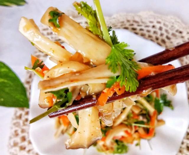 國家蘑菇地理：中國哪里的蘑菇最好吃？