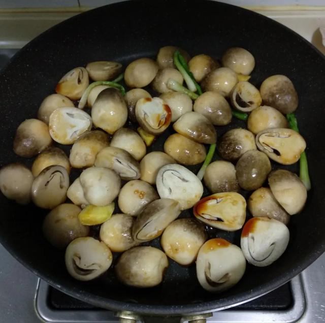 國家蘑菇地理：中國哪里的蘑菇最好吃？