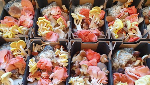 圖片關鍵詞 圖片關鍵詞