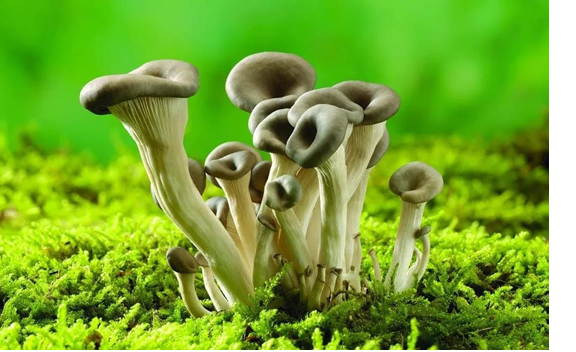 圖片關鍵詞 圖片關鍵詞