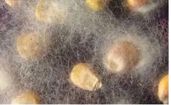 圖片關鍵詞 圖片關鍵詞