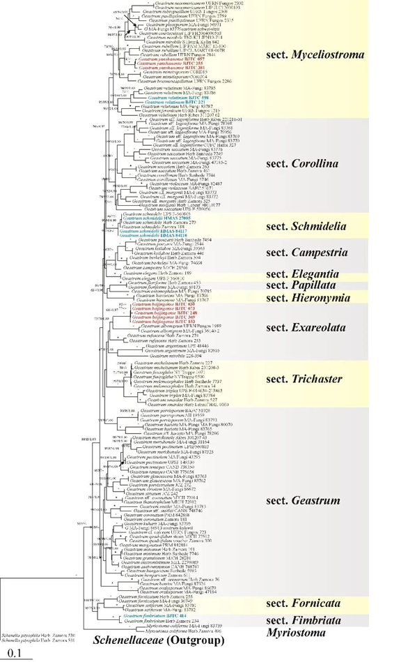 圖片關鍵詞 圖片關鍵詞