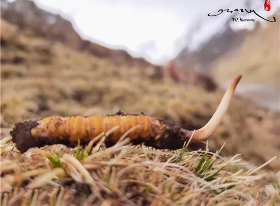 圖片關鍵詞 圖片