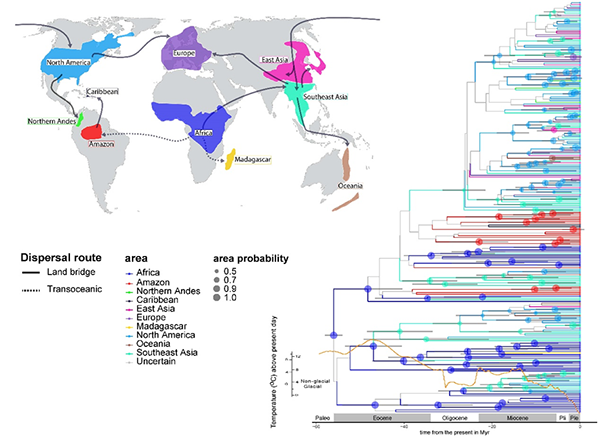 圖片關(guān)鍵詞 圖片關(guān)鍵詞