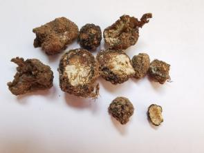 圖片關鍵詞 圖片關鍵詞