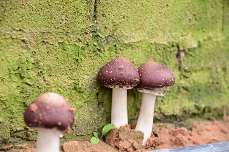 圖片關鍵詞 圖片關鍵詞