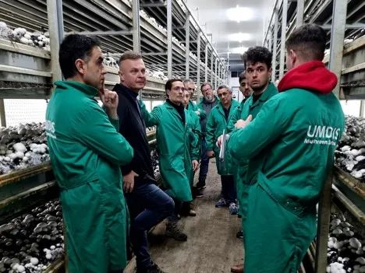 圖片關鍵詞 圖片關鍵詞