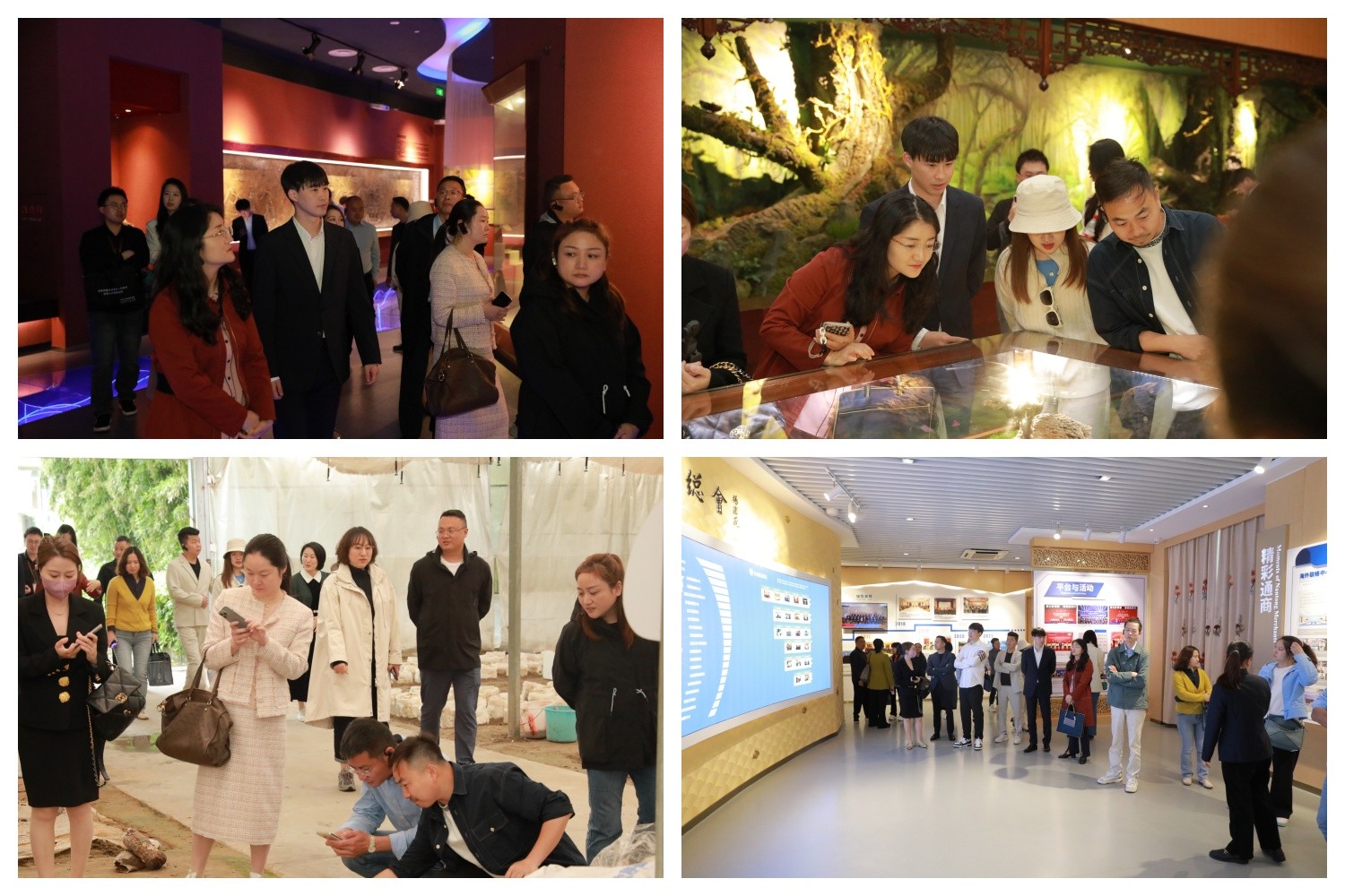 圖片關(guān)鍵詞 圖片關(guān)鍵詞